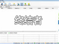 P2P终结者