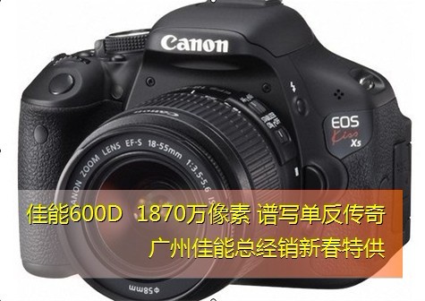 ViewPad 100i