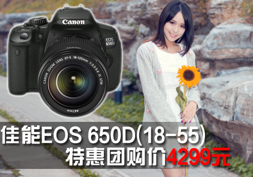 ViewPad 100i