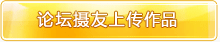 ̳ϴƷ